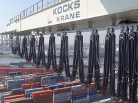 Electrification & Festooning